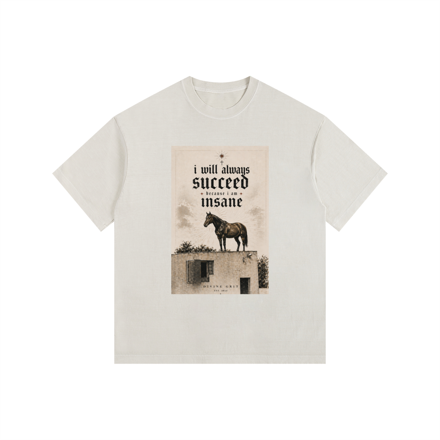 I will succeed Vintage Washed Oversized Cotton T-Shirt - Divine Grit