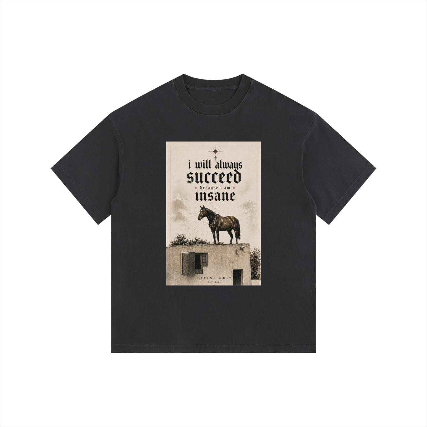 I will succeed Vintage Washed Oversized Cotton T-Shirt - Divine Grit